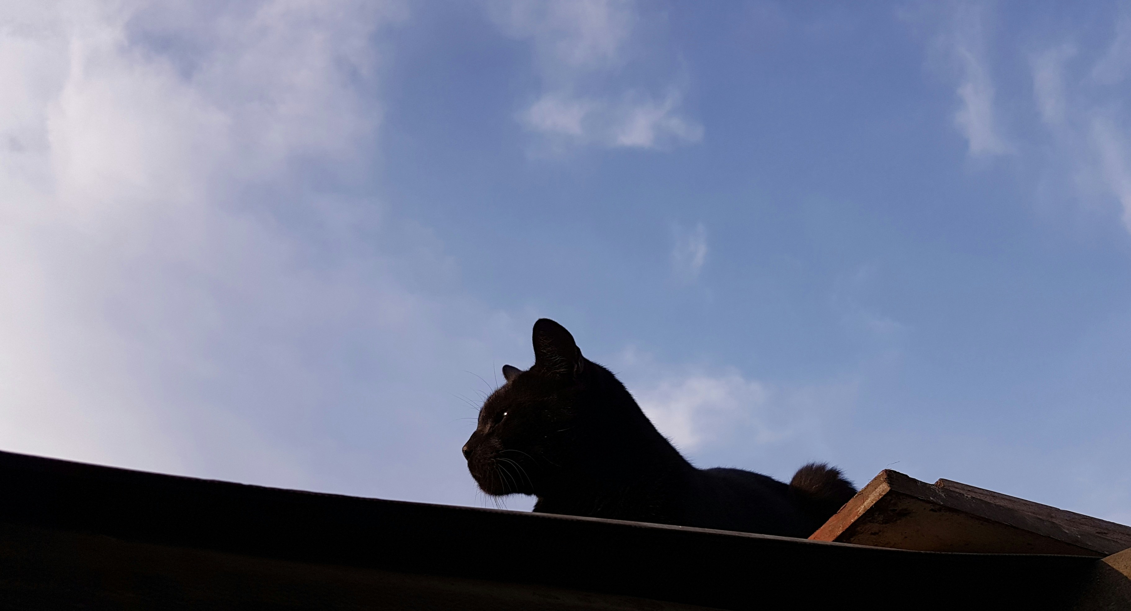 Free Unsplash photo from Wendy Lau