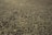 A textured surface with a rough and uneven appearance, featuring a slightly mottled pattern lit by a soft light.