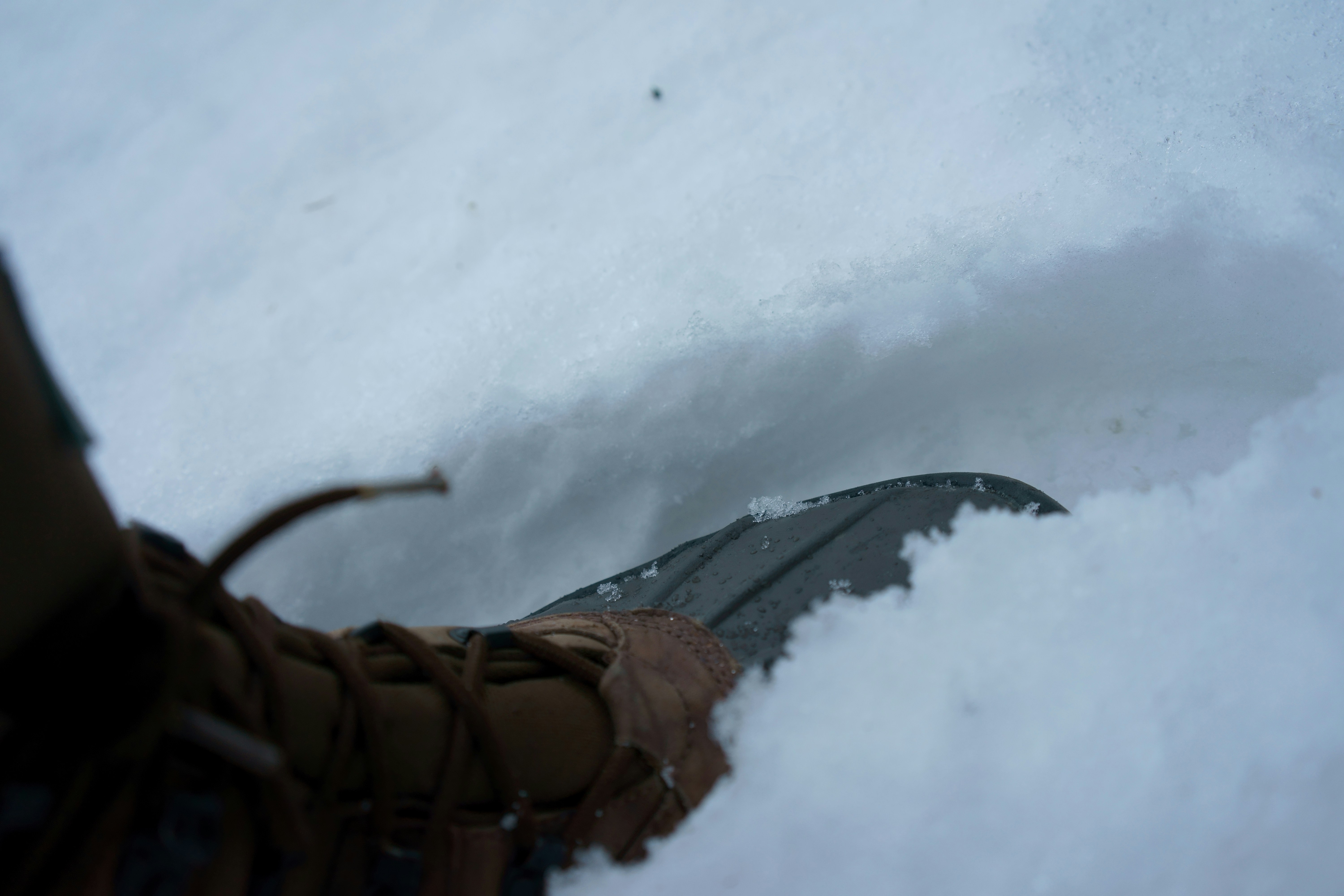 Free Unsplash photo from Jonah Lanclos