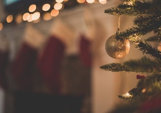 closeup photo of baubles on christmas tree