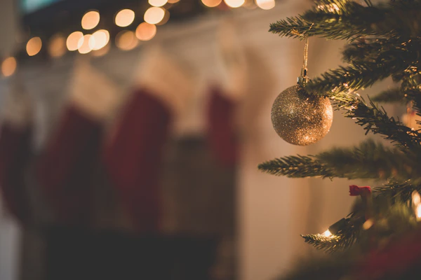 Chef Secrets for Luxury Holiday Entertaining
