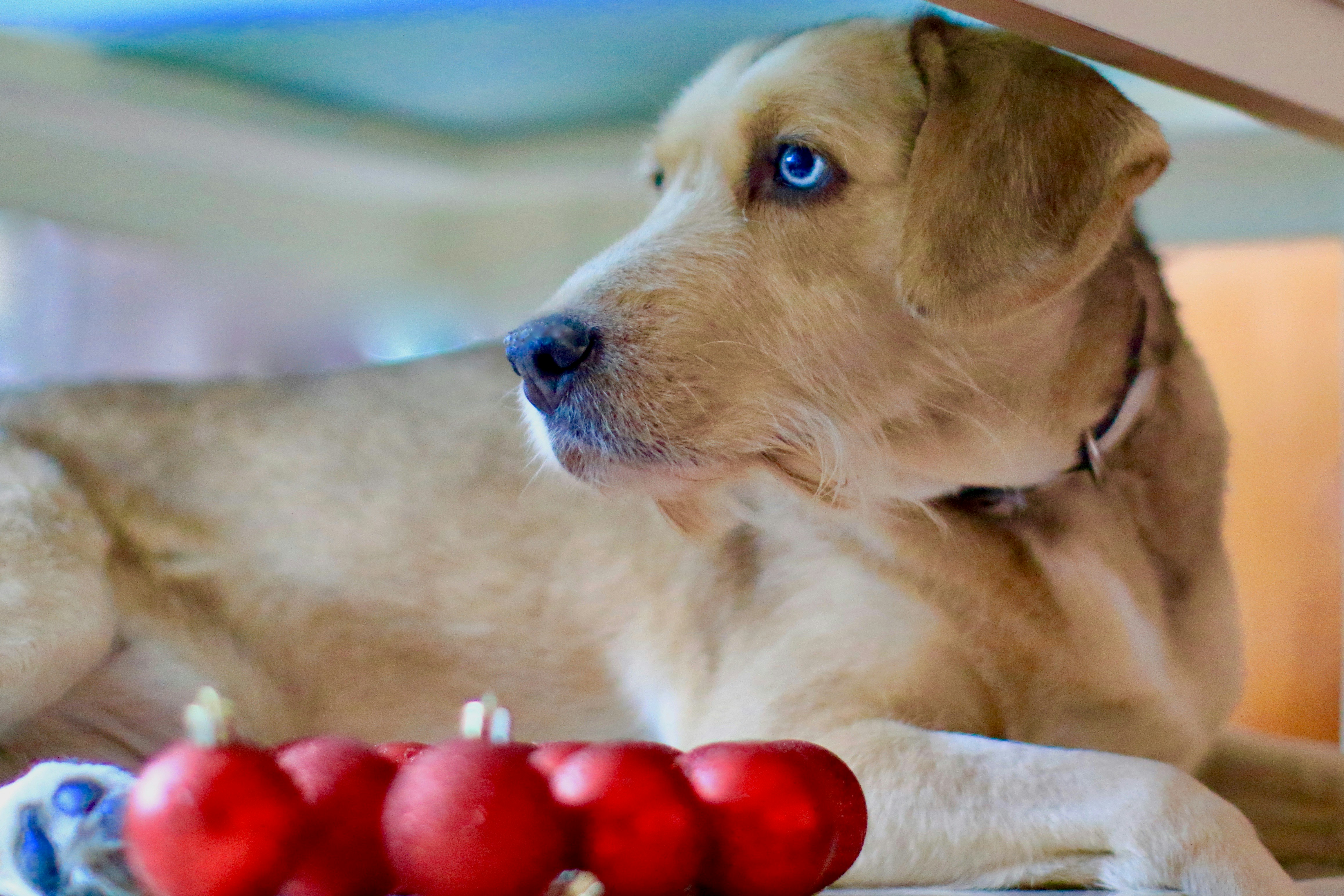 Free Unsplash photo from Jordi Zamora