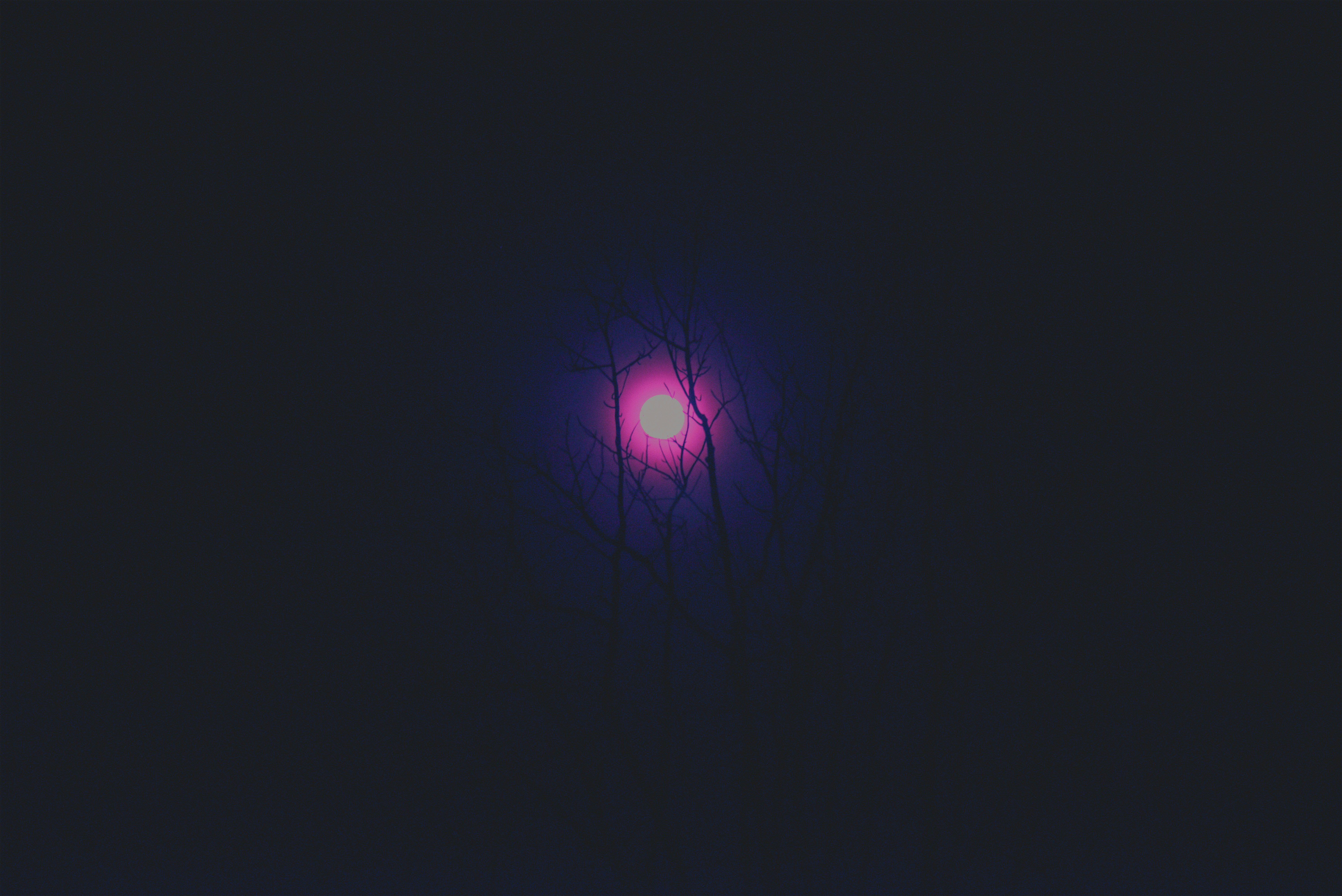 Free Unsplash photo from Christian Dahmann