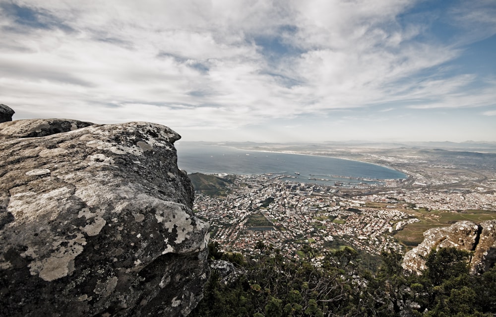 bird's eye view photography of city