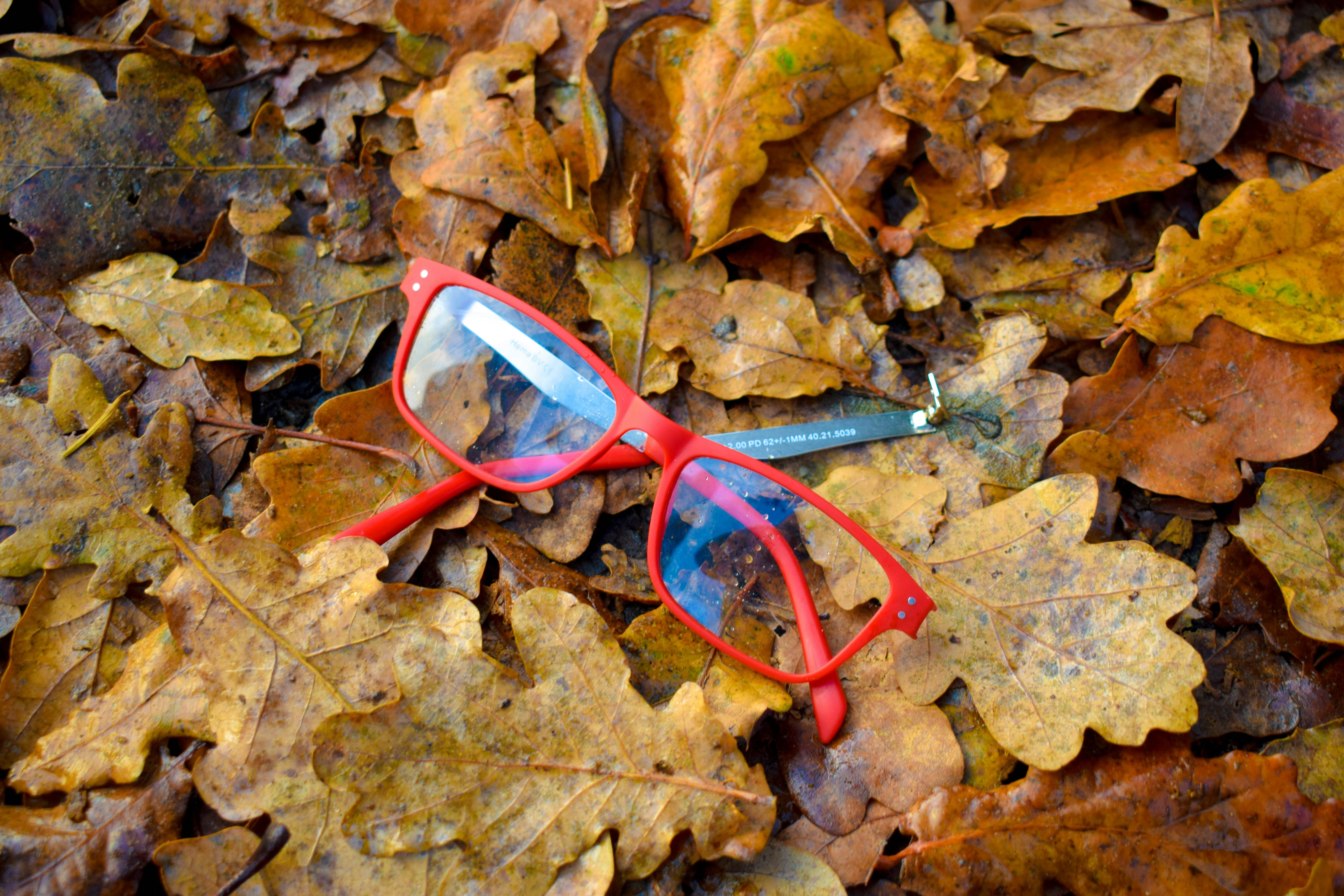 Free Unsplash photo from Thomas Warnders