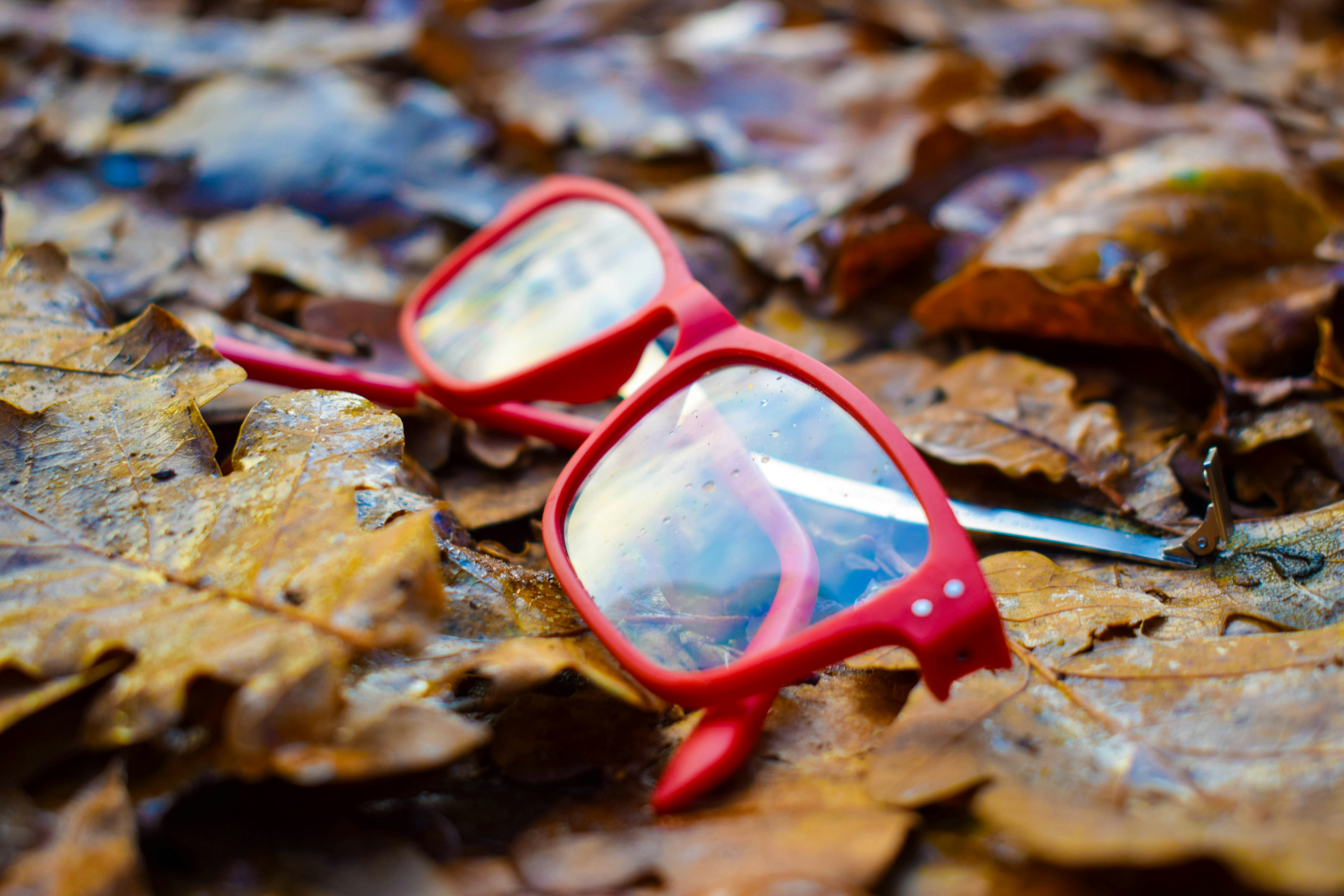 Free Unsplash photo from Thomas Warnders