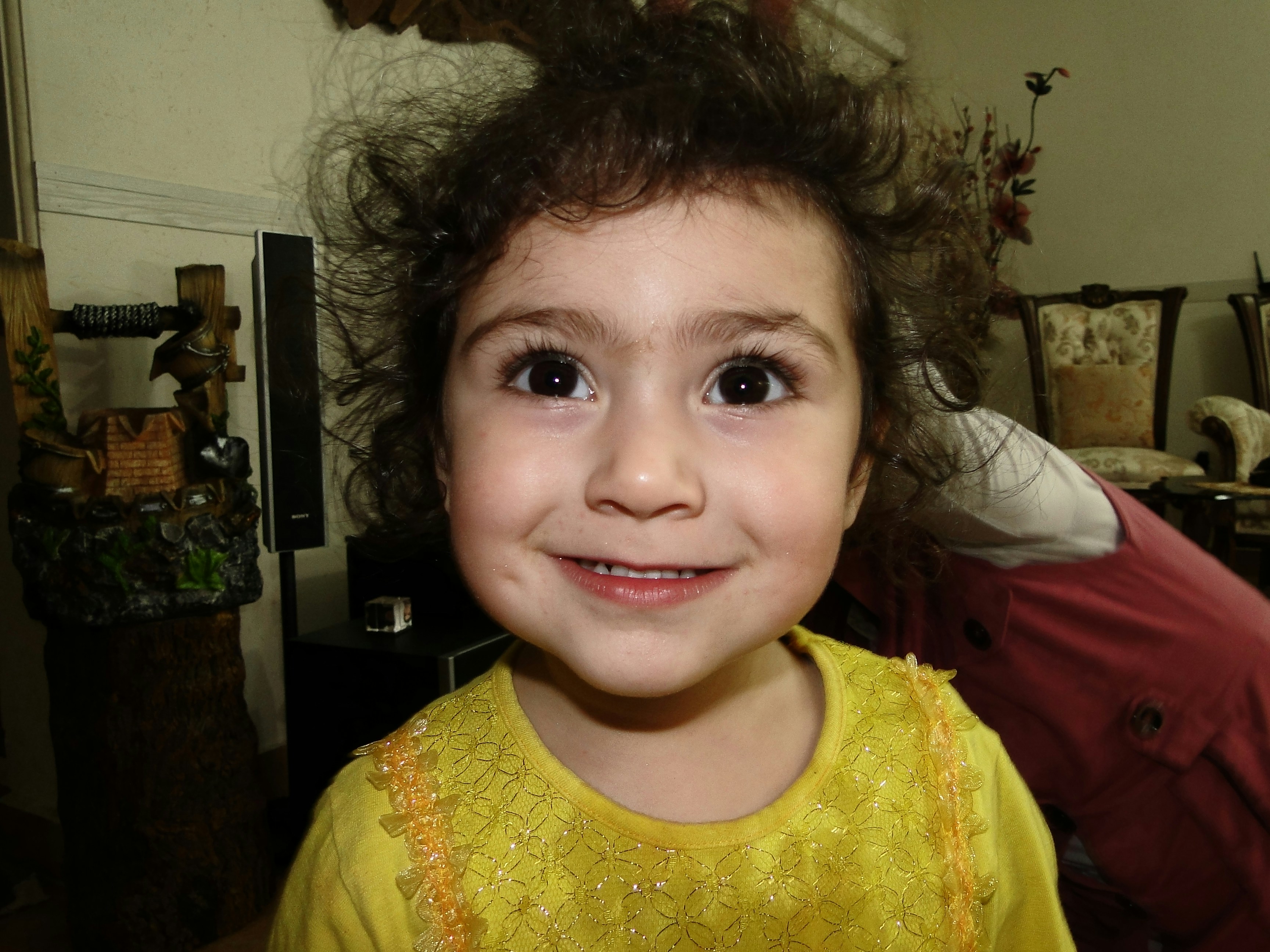 Free Unsplash photo from Ali Maddahi