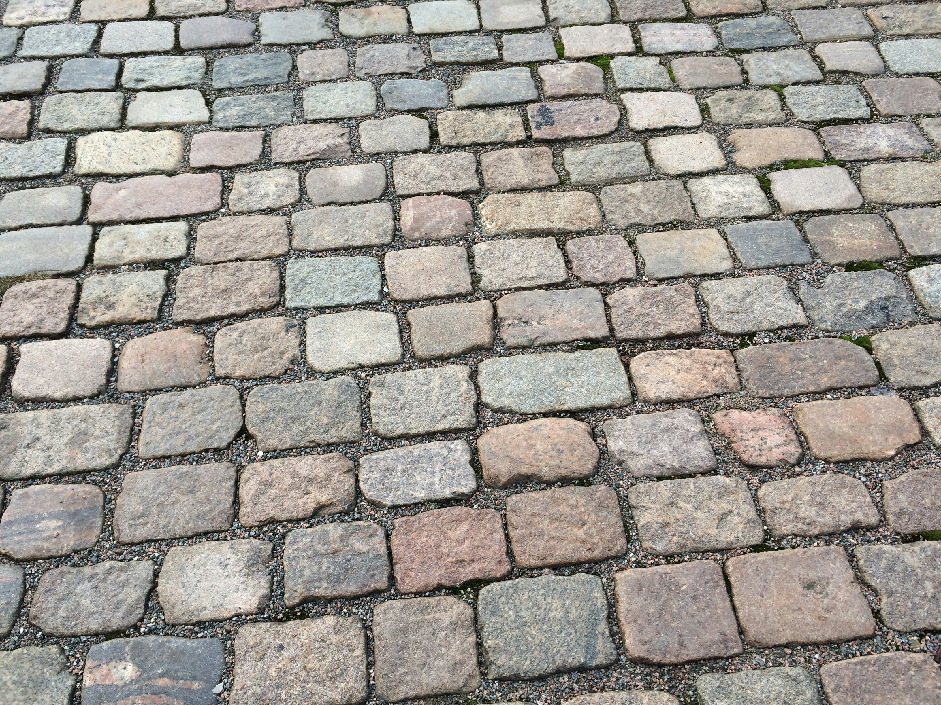 Free Unsplash photo from Gunilla Ask