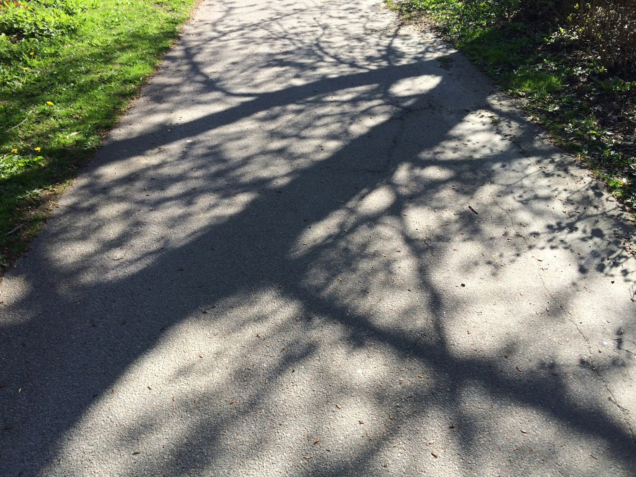 Free Unsplash photo from Gunilla Ask