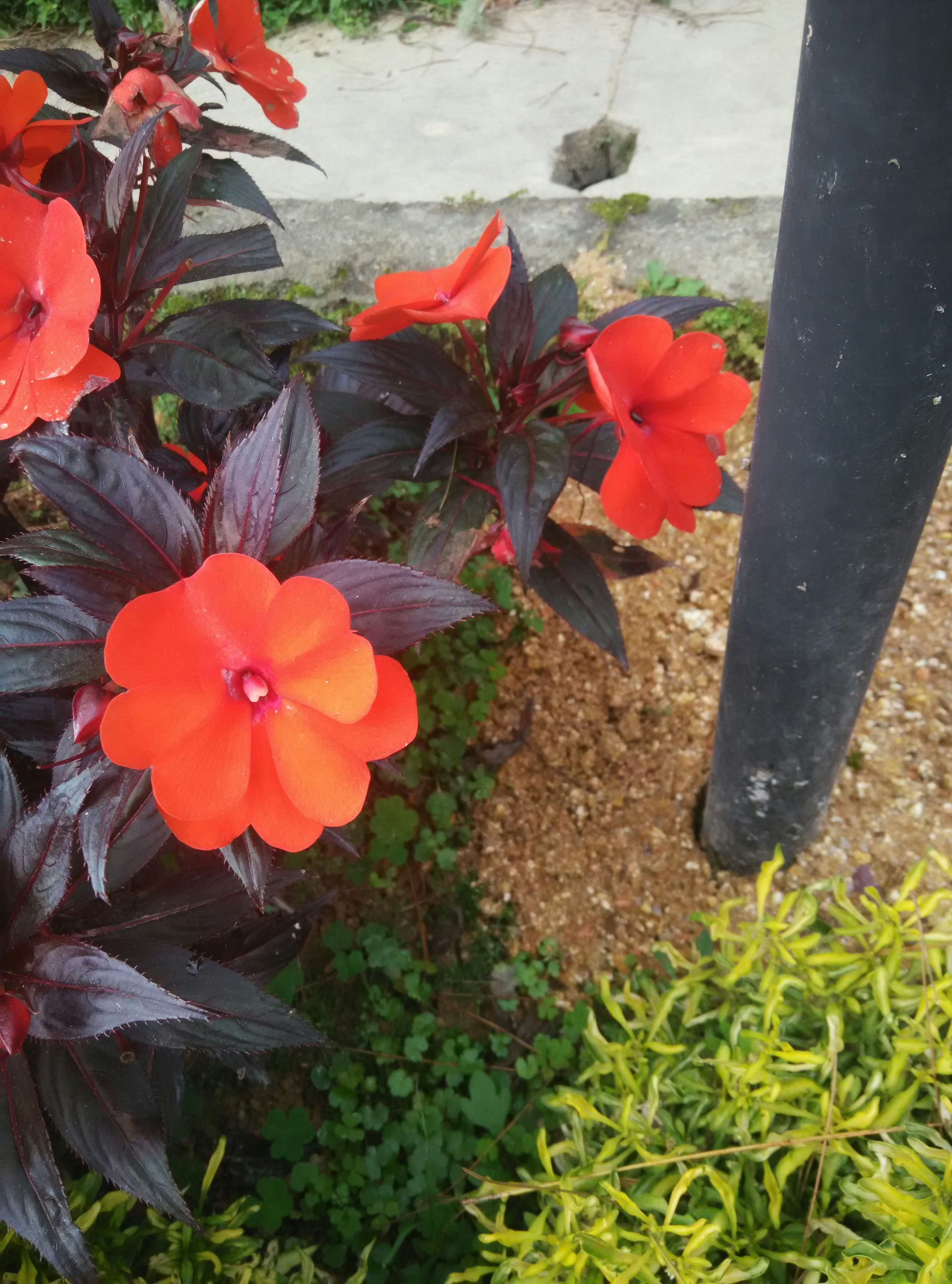 Free Unsplash photo from Angela Khong