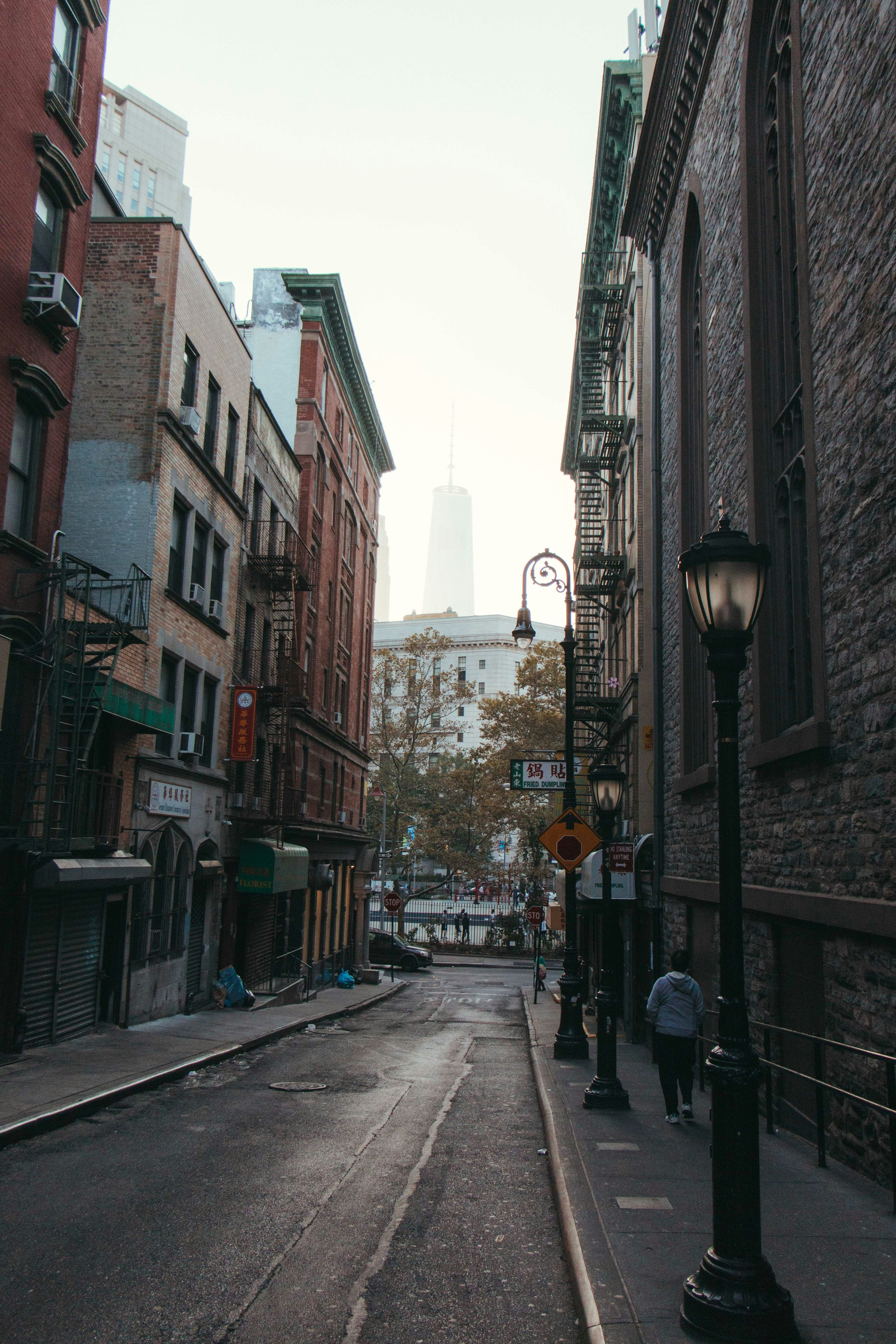 Free Unsplash photo from Robin Vet