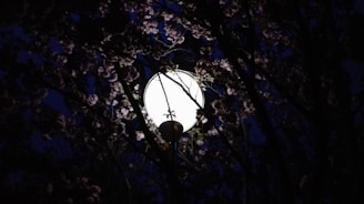 A glowing round lamp is surrounded by dense tree branches and leaves, creating a contrast between the bright light and the dark night. The branches form a pattern against the sky, adding texture and depth to the scene.