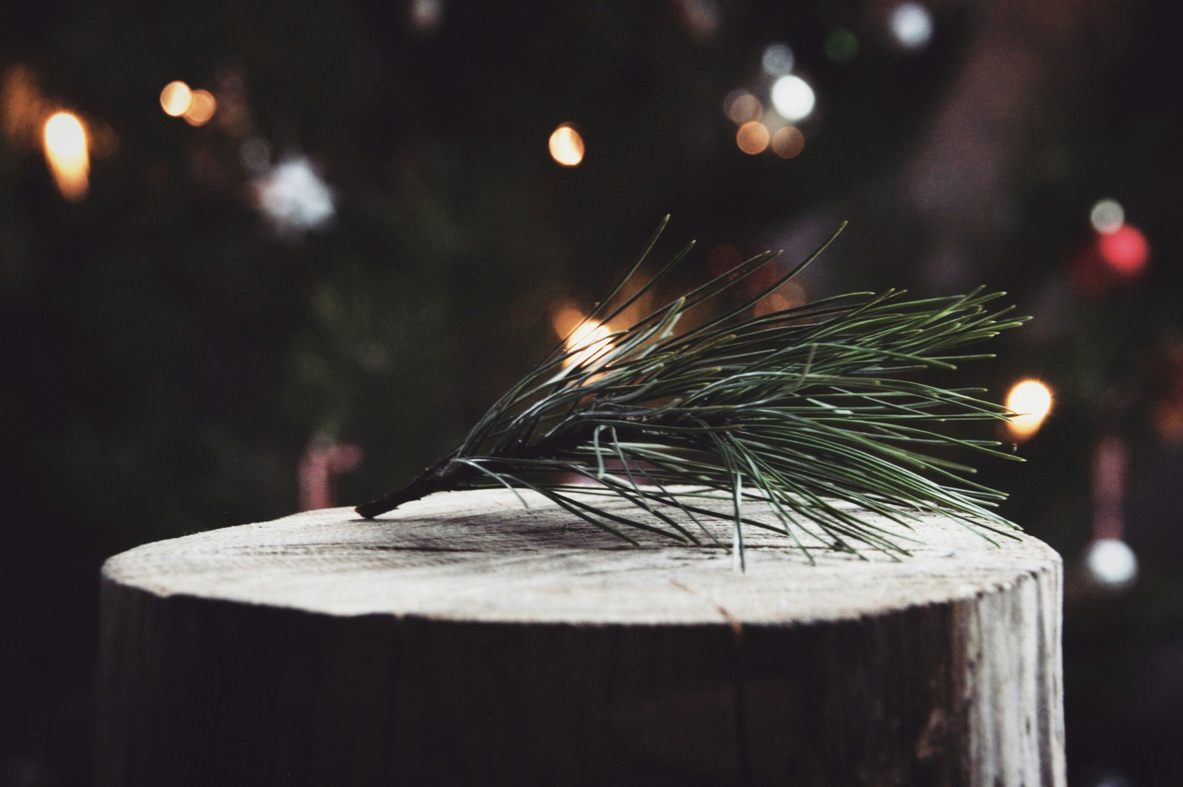 Free Unsplash photo from Ulrike Hütter