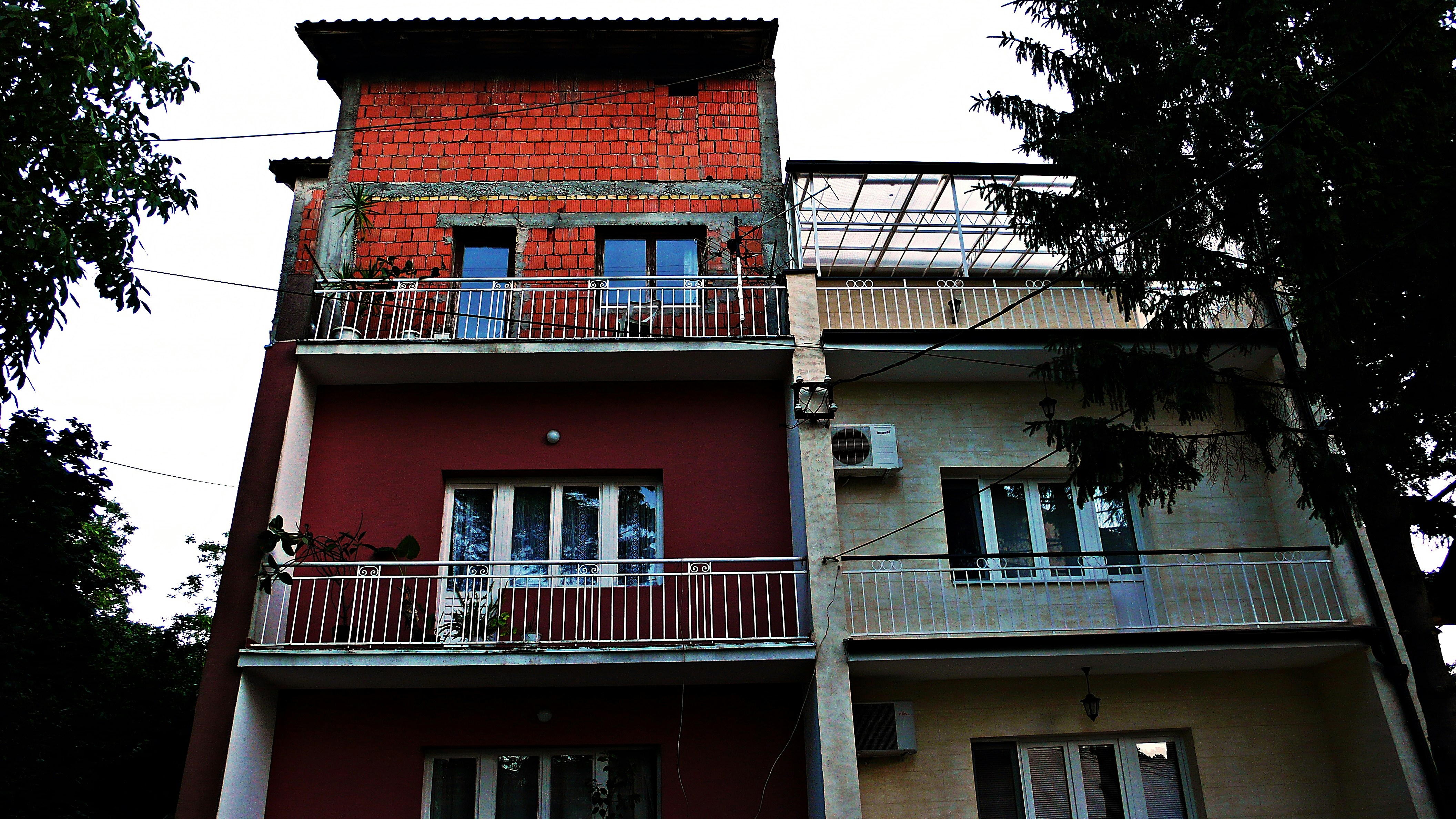 Free Unsplash photo from Zoran Zoran