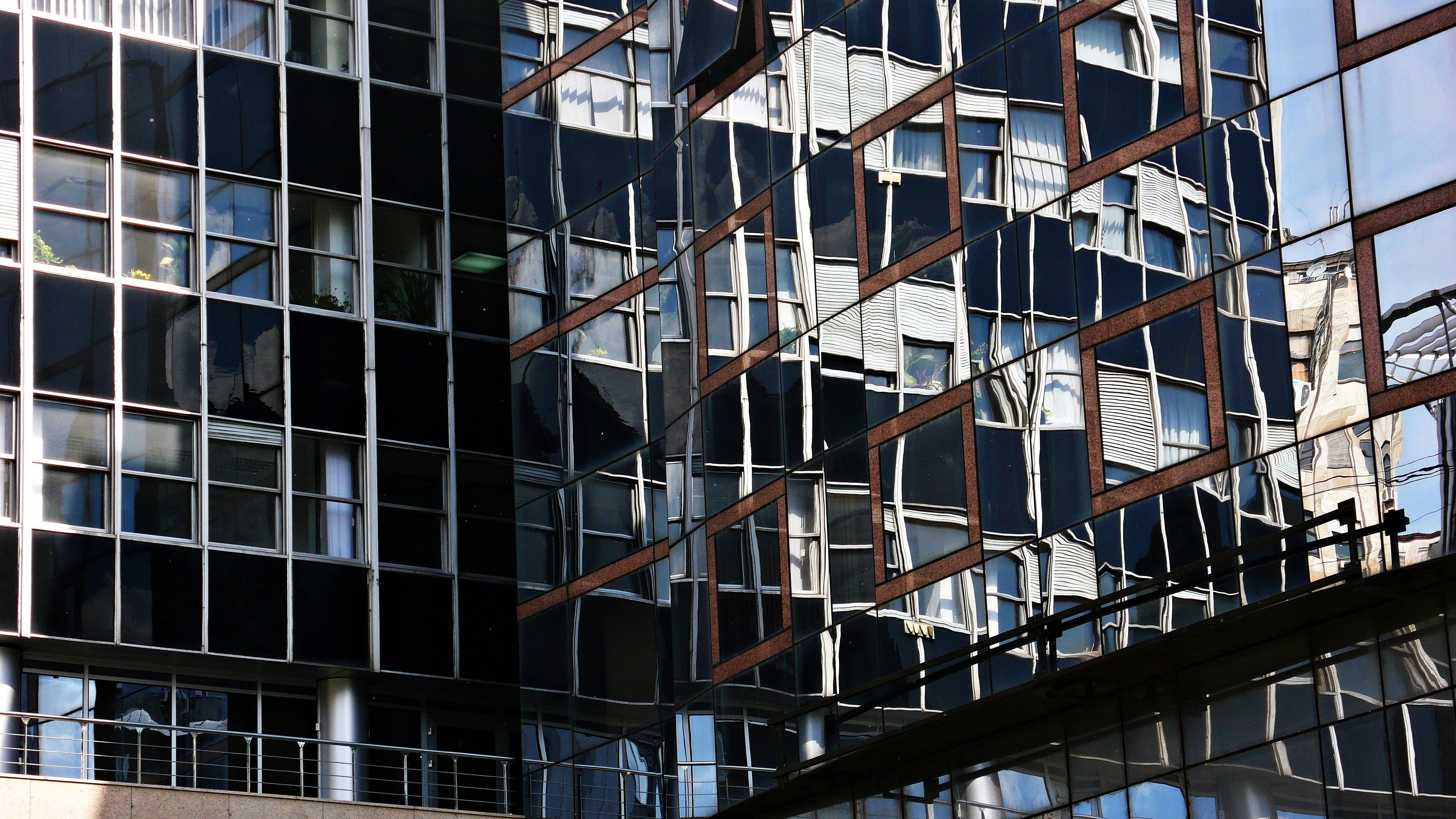 Free Unsplash photo from Zoran Zoran