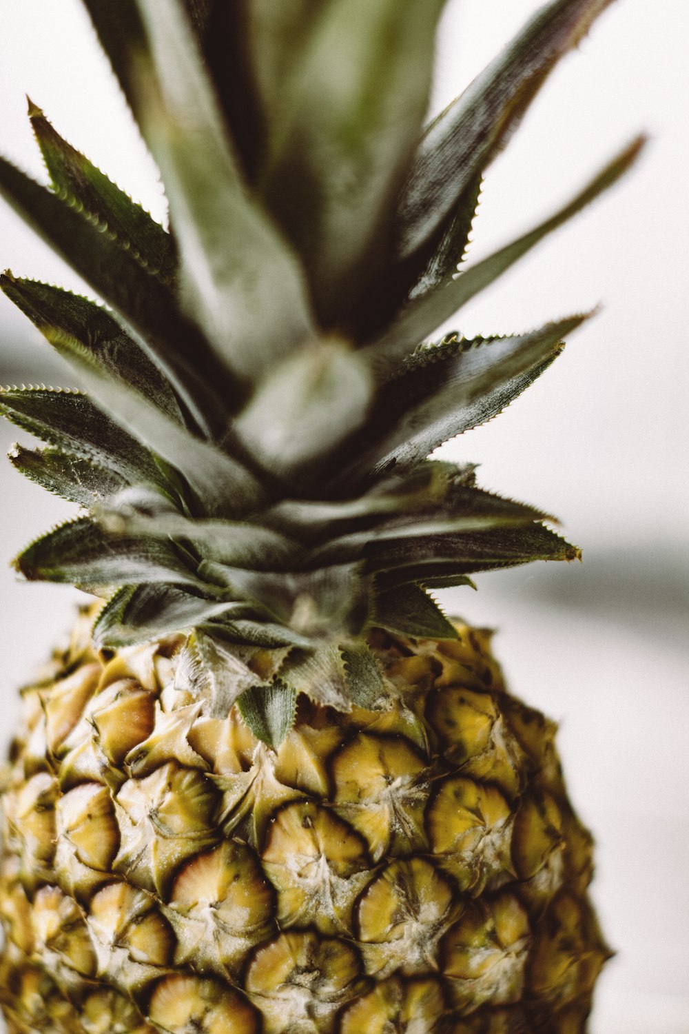 shallow focus photography of pineapple