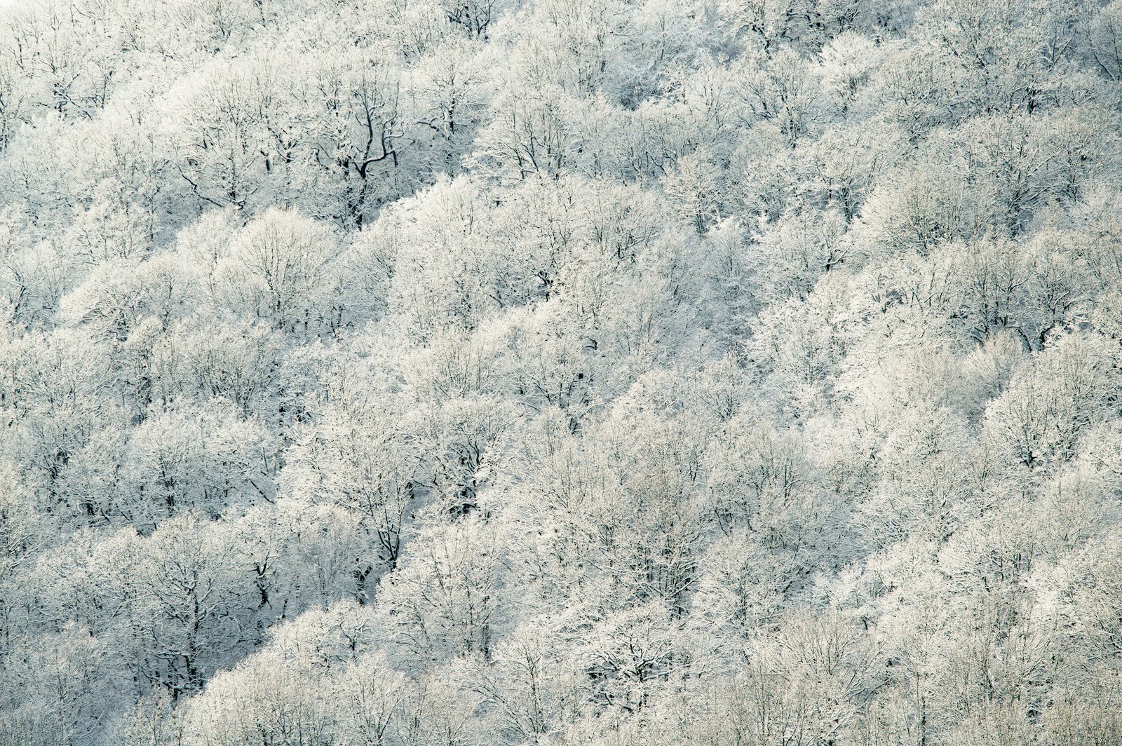 Tamron SP AF 70-200mm F2.8 Di LD (IF) MACRO sample photo. Aerial photography of white photography