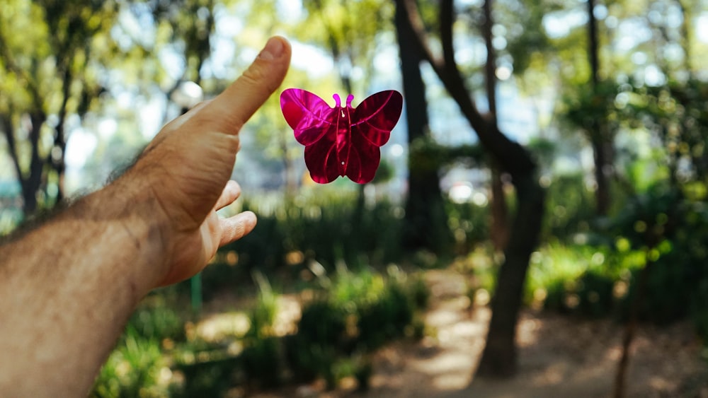 person's hand about to catch a pink butterfly toy at daytime