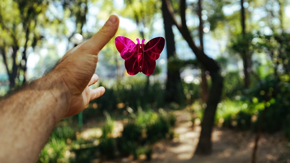 mano della persona che sta per prendere un giocattolo rosa della farfalla durante il giorno