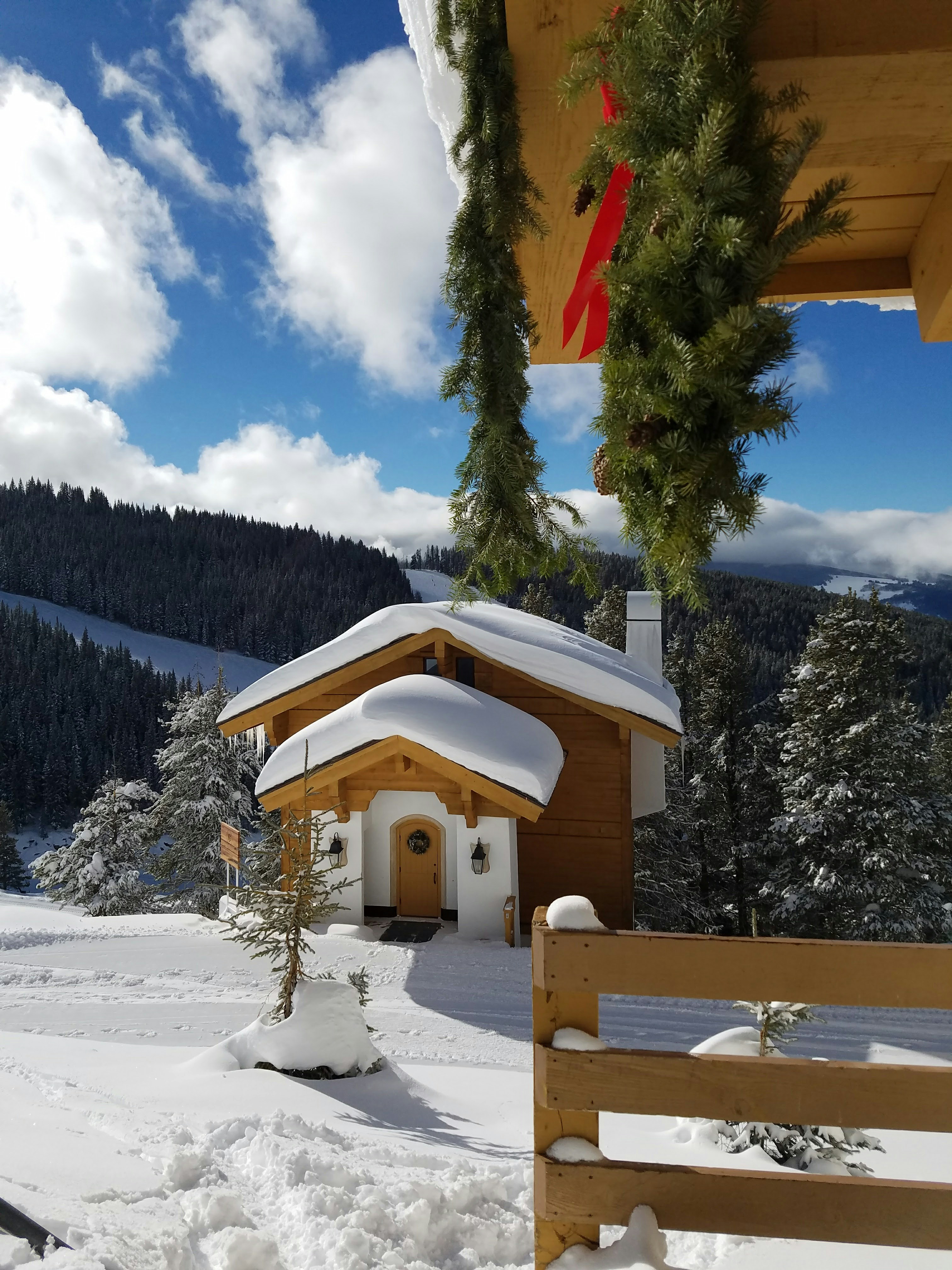 Free Unsplash photo from Brian Shannon