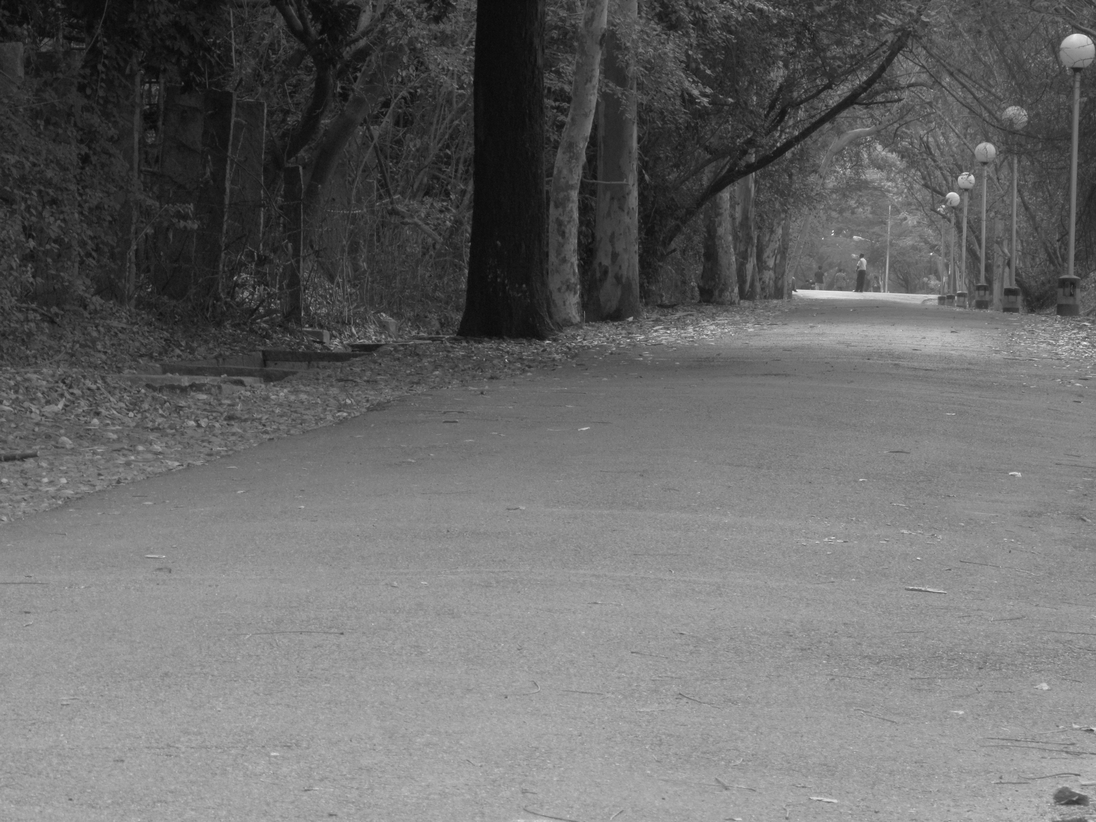 Free Unsplash photo from Prasan S