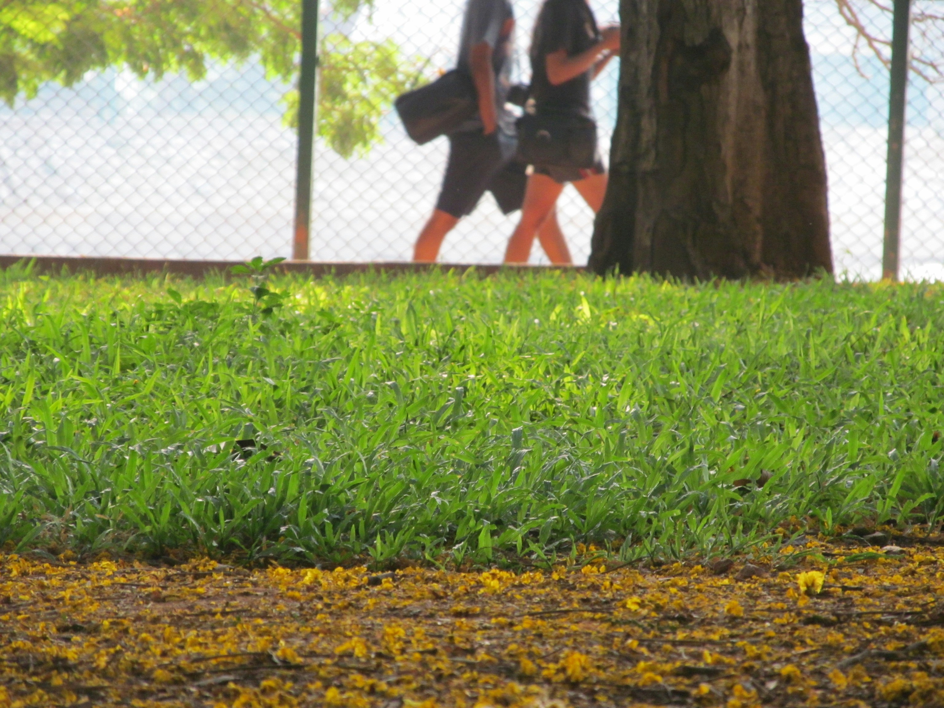 Free Unsplash photo from Prasan S