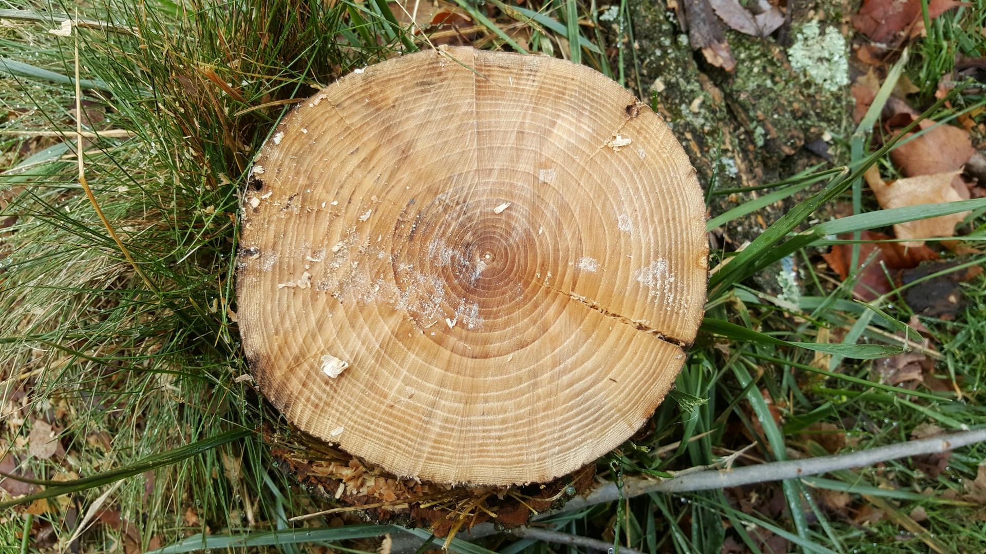 woman wearing yellow long-sleeved dress under white clouds and blue sky during daytime