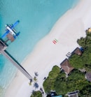 gray wooden dock in sea near trees at daytime