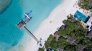 gray wooden dock in sea near trees at daytime