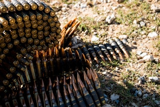A large pile of rifle ammunition, some arranged in long strips, lies on the ground, blending with the grass and dirt. The metallic bullets have pointed copper tips and are stacked in a manner that showcases their shiny surfaces.