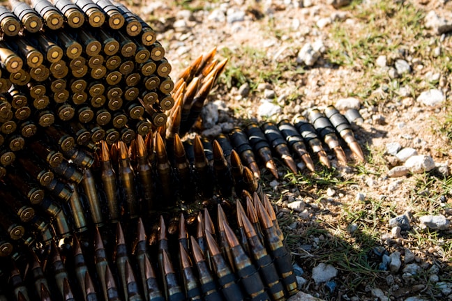 A large pile of rifle ammunition, some arranged in long strips, lies on the ground, blending with the grass and dirt. The metallic bullets have pointed copper tips and are stacked in a manner that showcases their shiny surfaces.