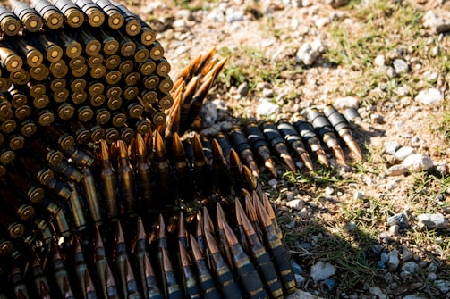 A large pile of rifle ammunition, some arranged in long strips, lies on the ground, blending with the grass and dirt. The metallic bullets have pointed copper tips and are stacked in a manner that showcases their shiny surfaces.