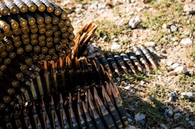 A large pile of rifle ammunition, some arranged in long strips, lies on the ground, blending with the grass and dirt. The metallic bullets have pointed copper tips and are stacked in a manner that showcases their shiny surfaces.