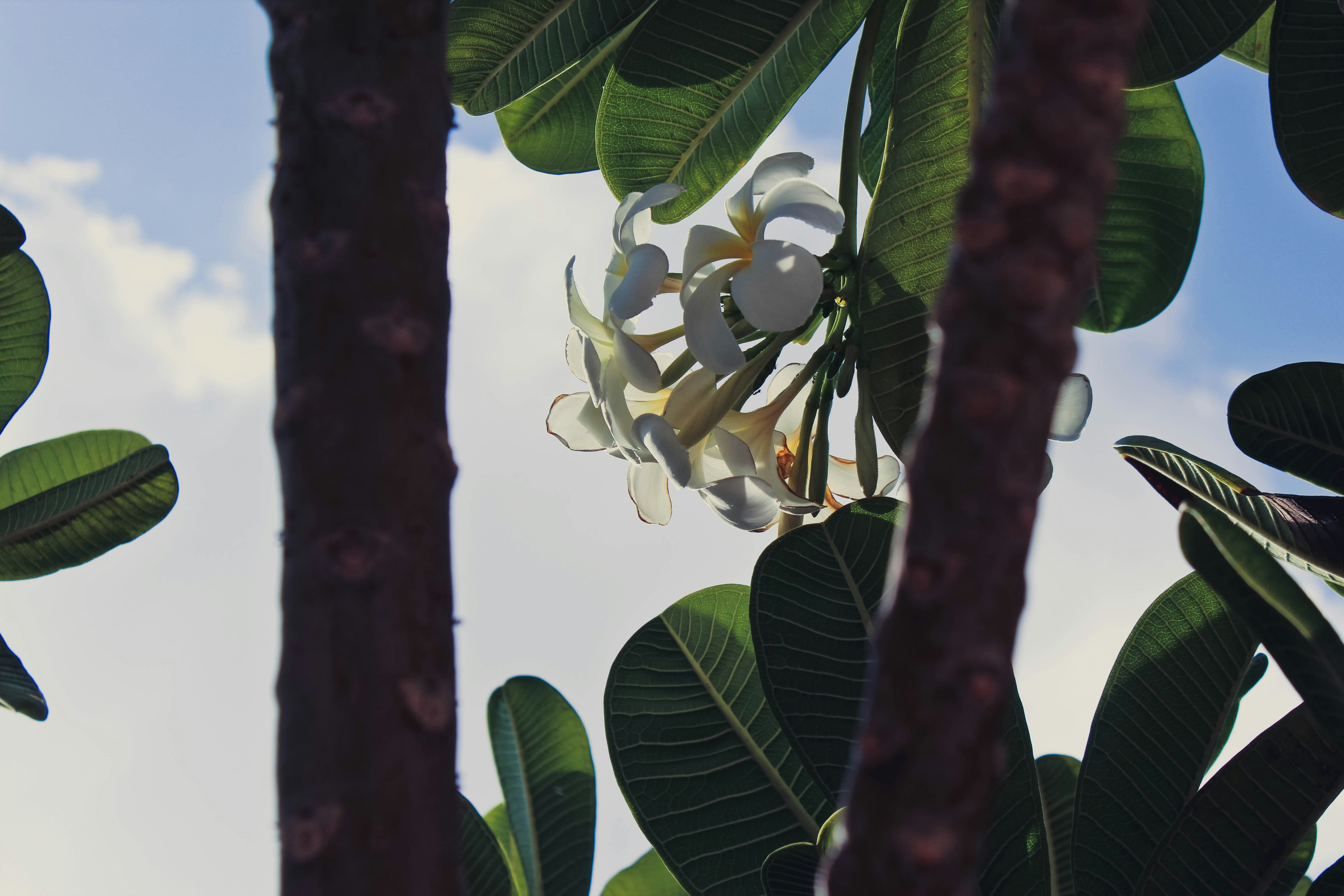 Free Unsplash photo from joim jong