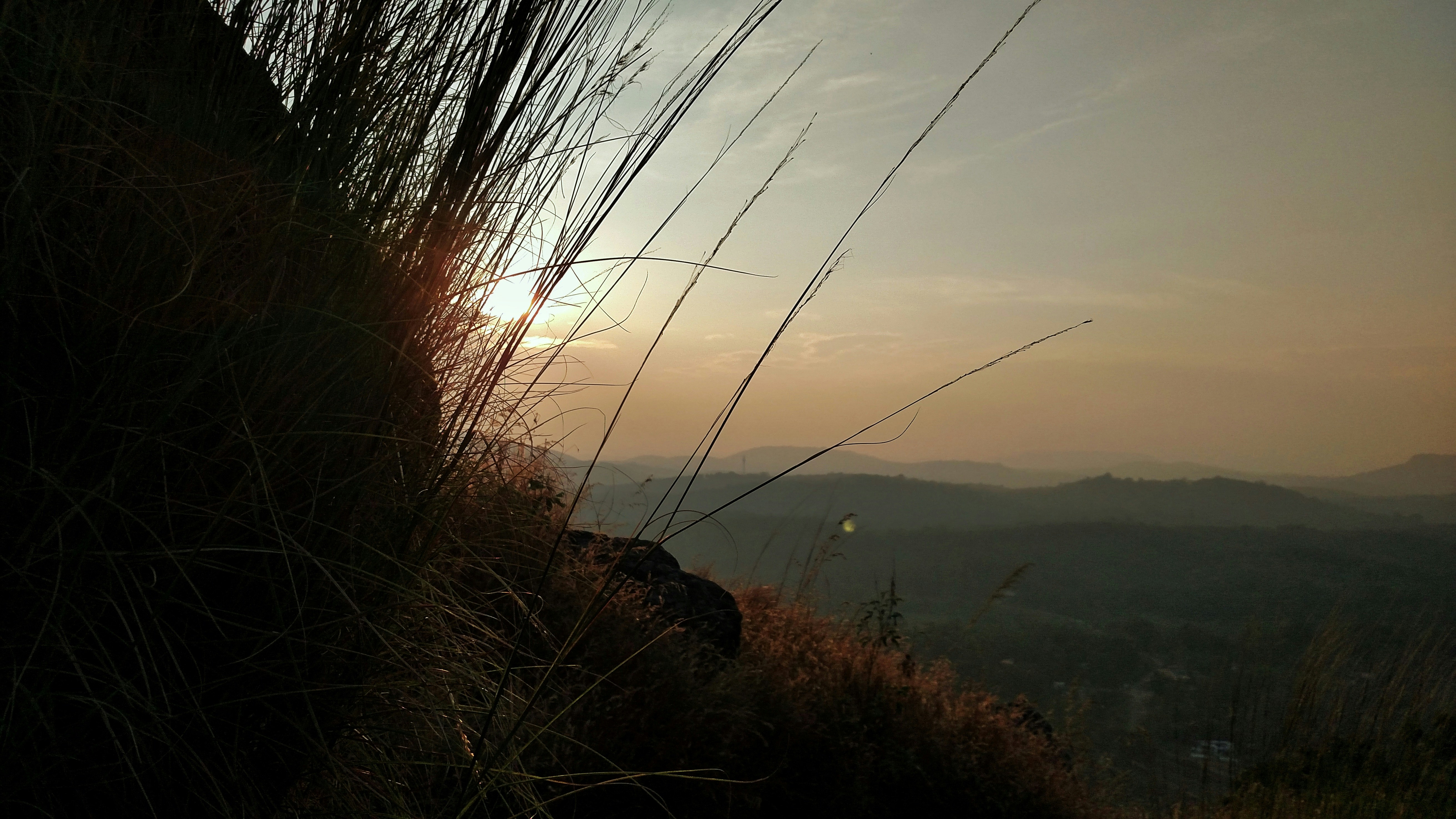 Free Unsplash photo from Aditya  Balaji