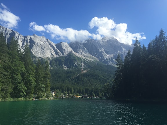 A serene lake surrounded by lush green forests.