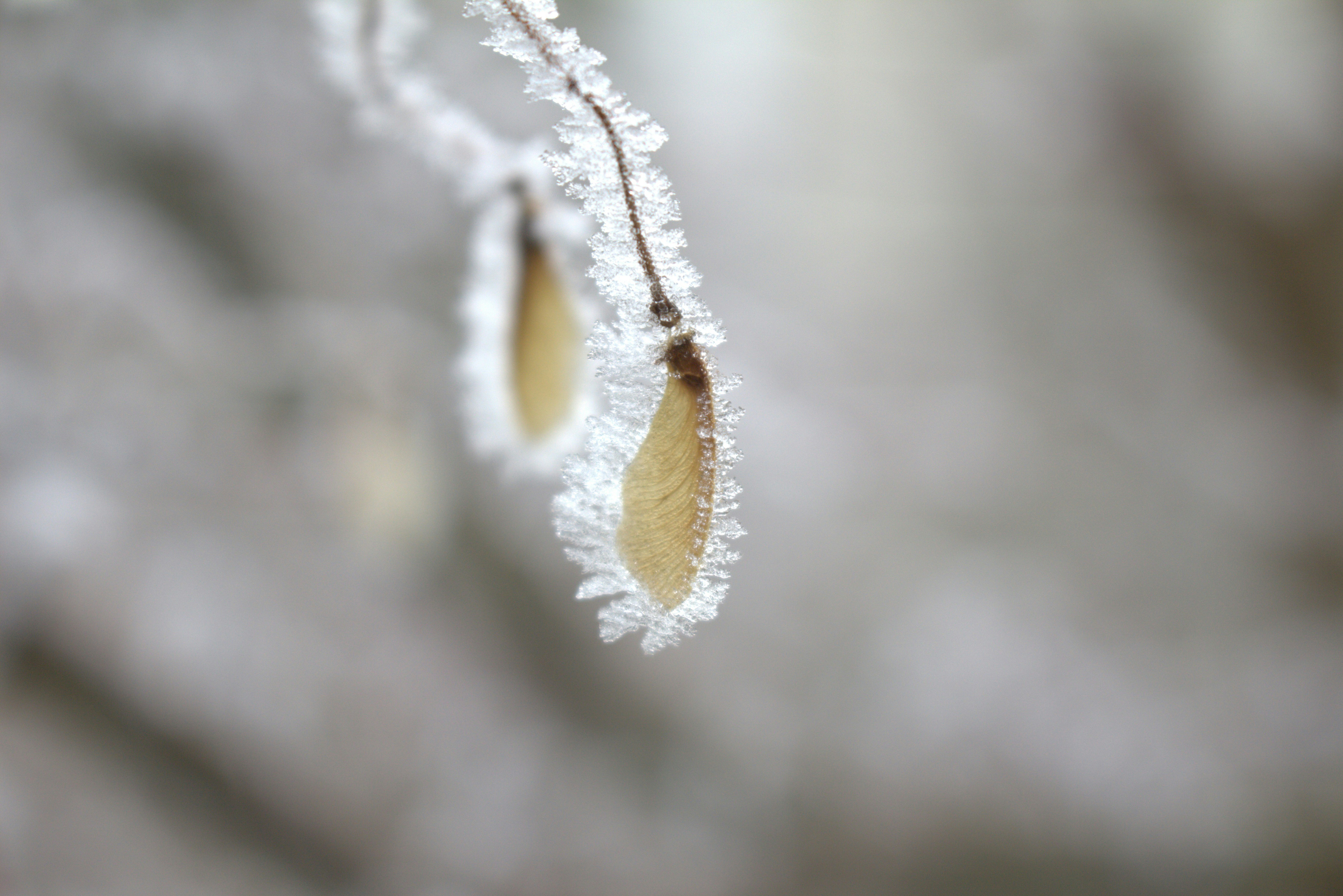 Free Unsplash photo from Matthieu Ochsenbein