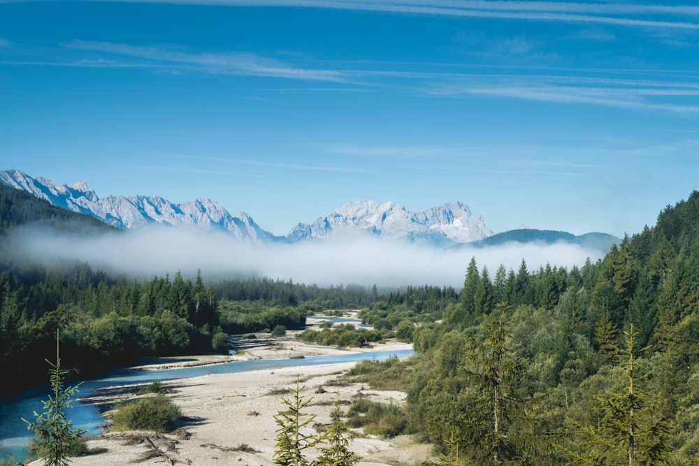 river surrounded by trees near mountains during daytime