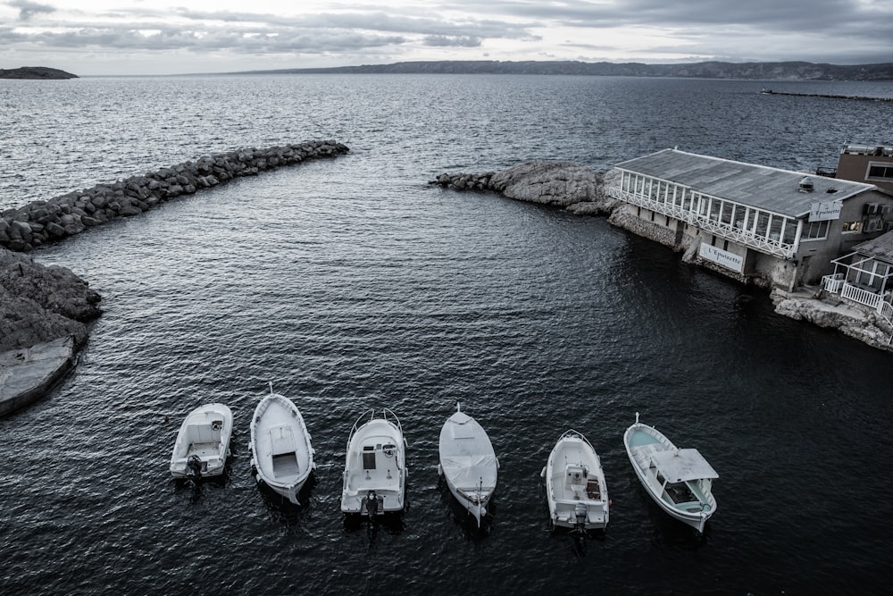 six white bots on body of water