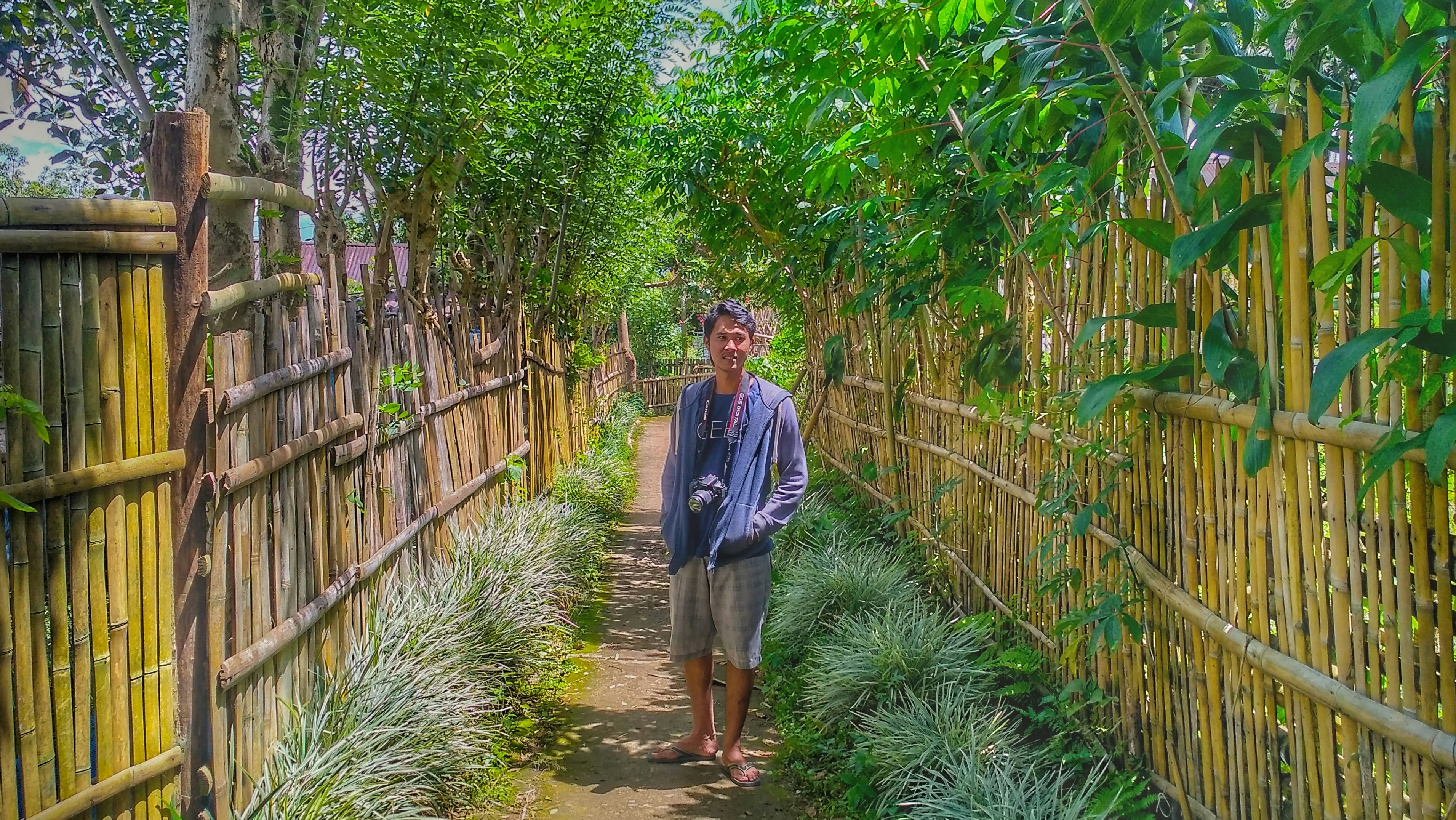 Free Unsplash photo from Kiki 3 Rizki