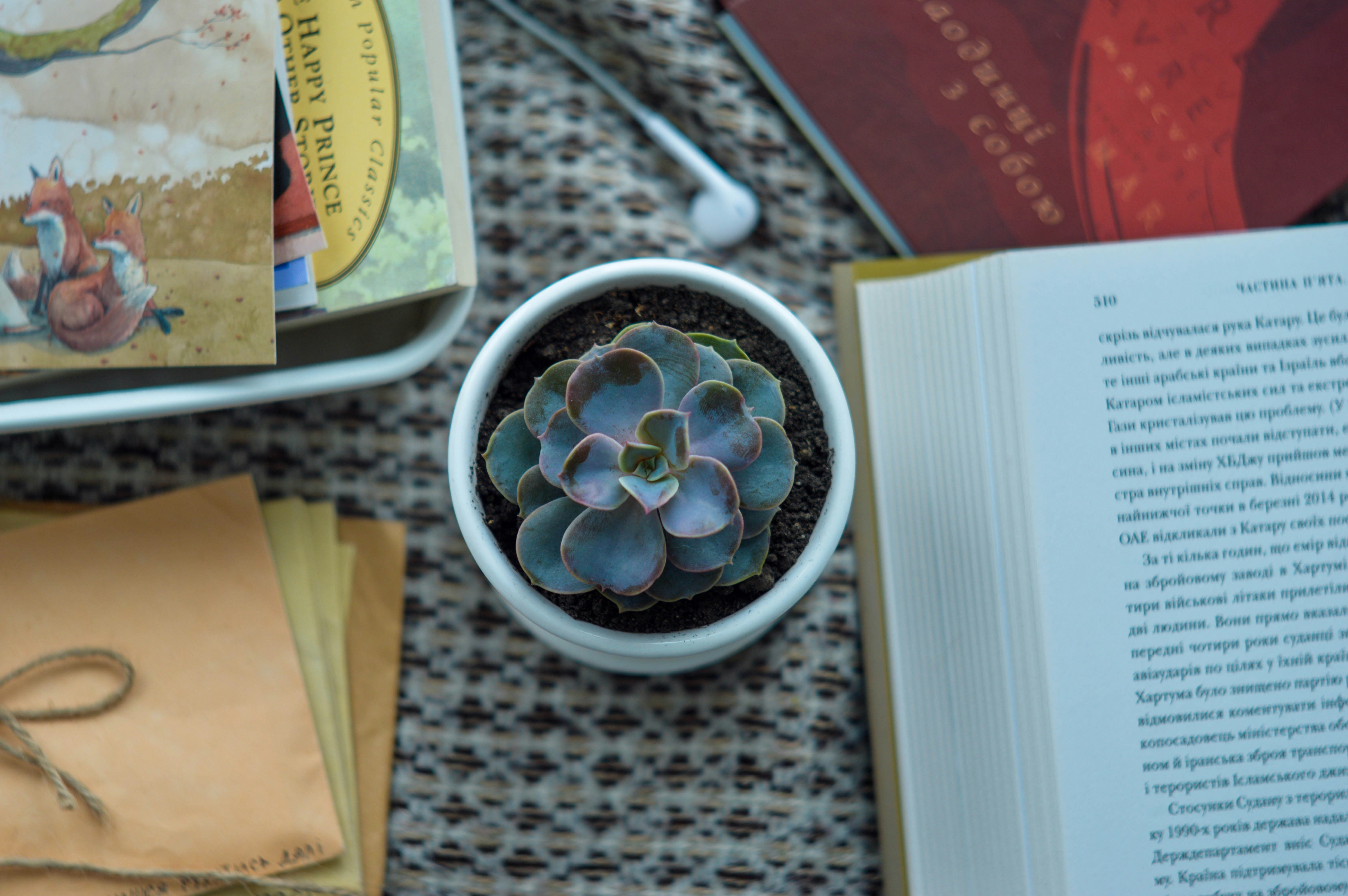 Free Unsplash photo from Mariana Vusiatytska