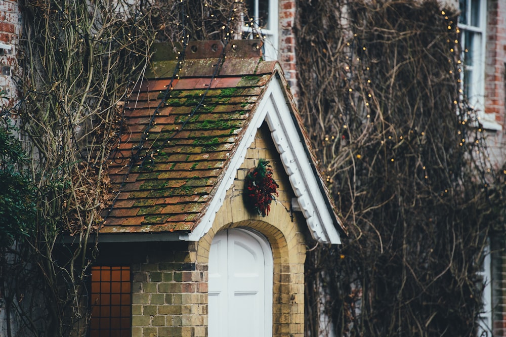 brown concrete house near bare trees