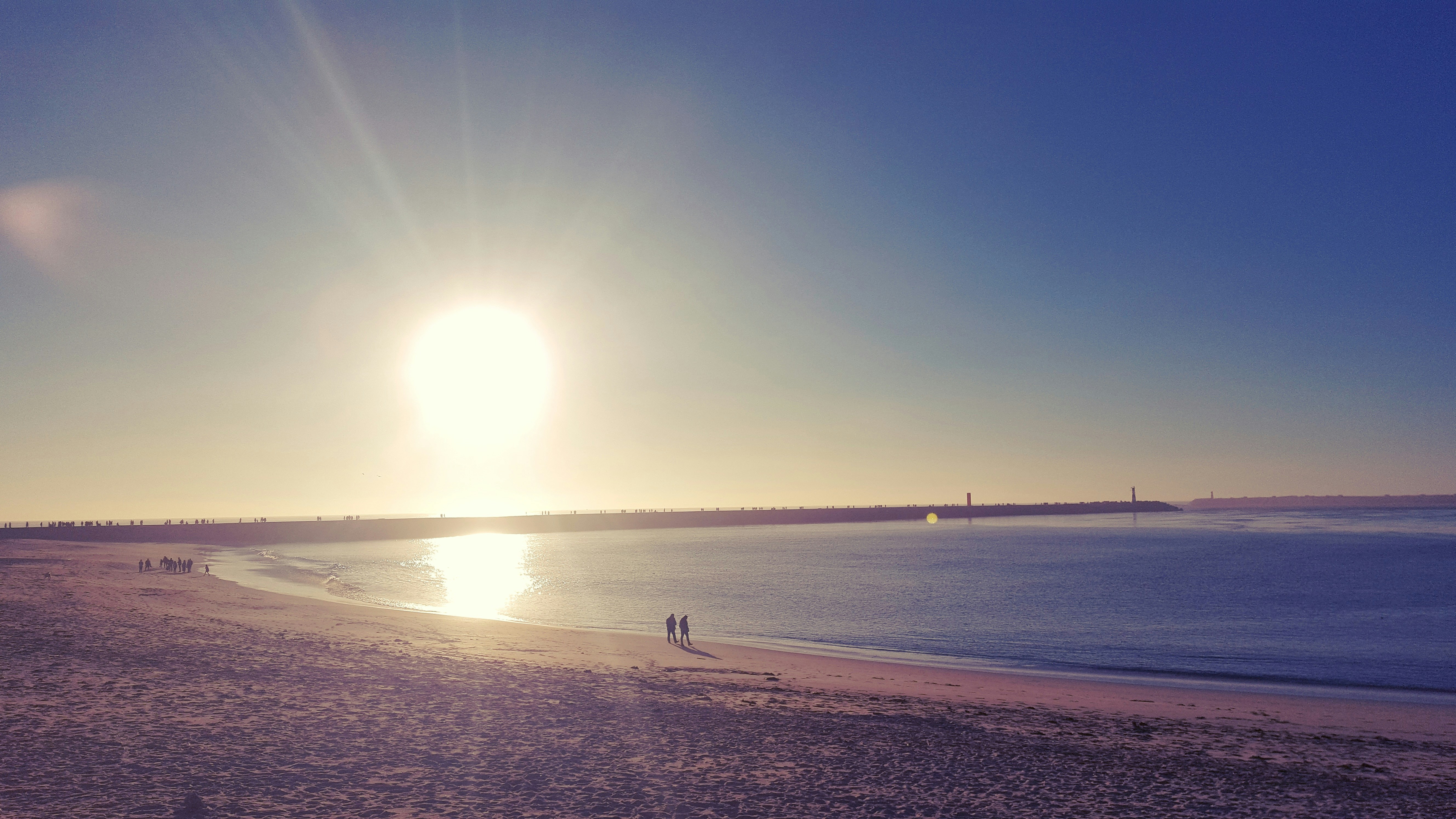 Free Unsplash photo from Paulo Rumor