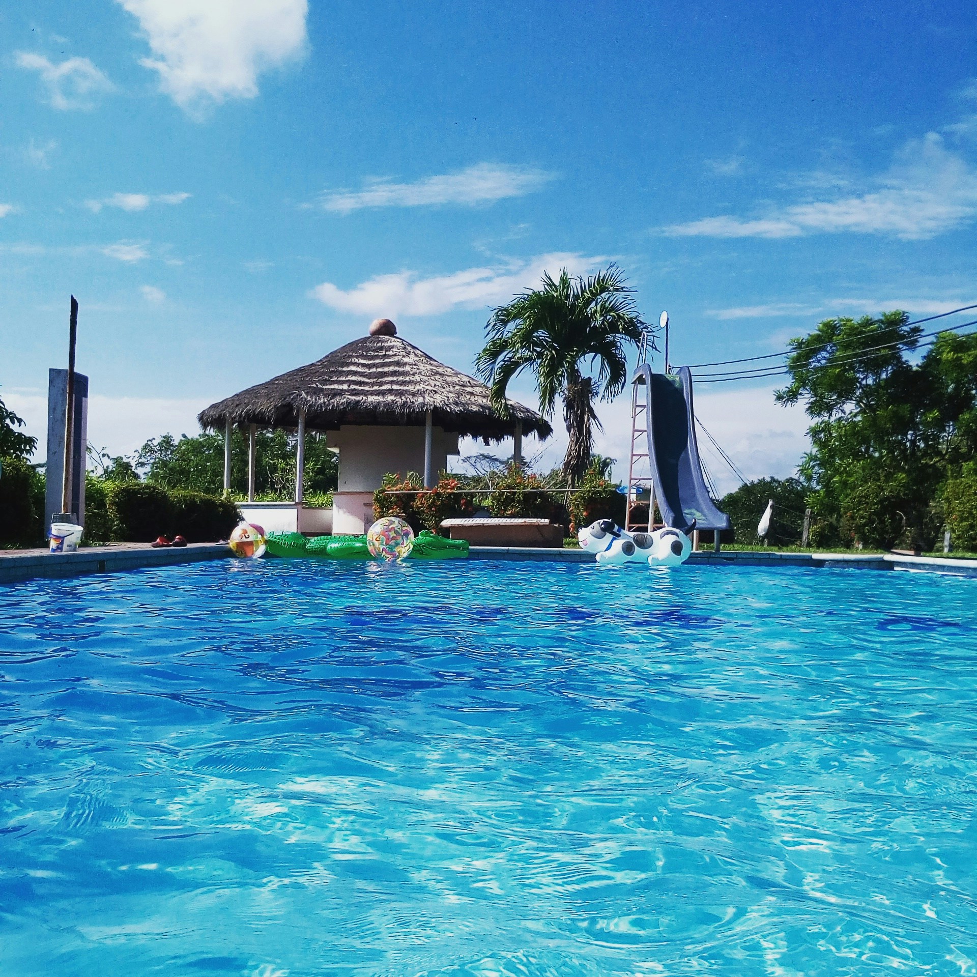 Free Unsplash photo from Nicolas Navarro