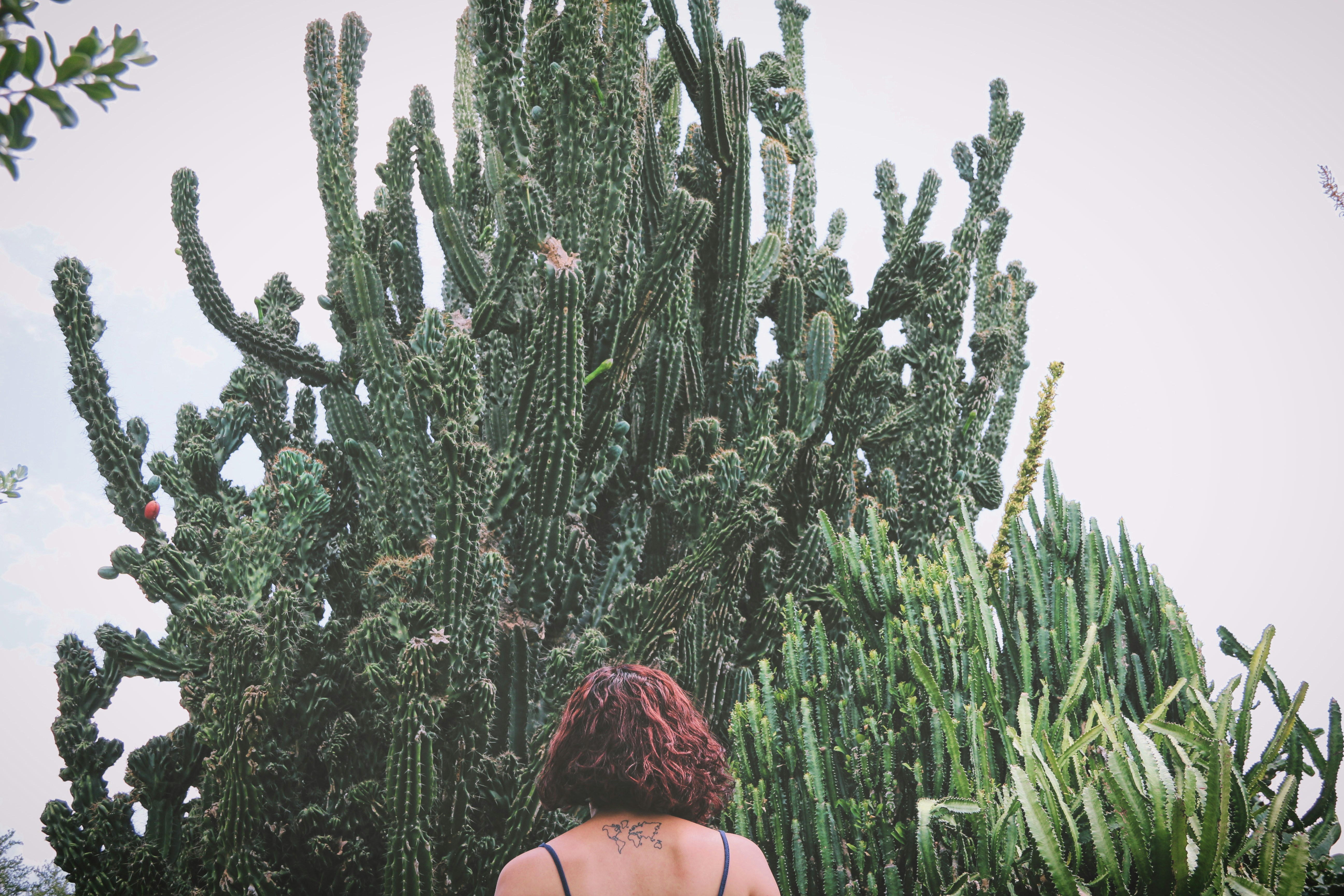 Free Unsplash photo from Priss Enriquez