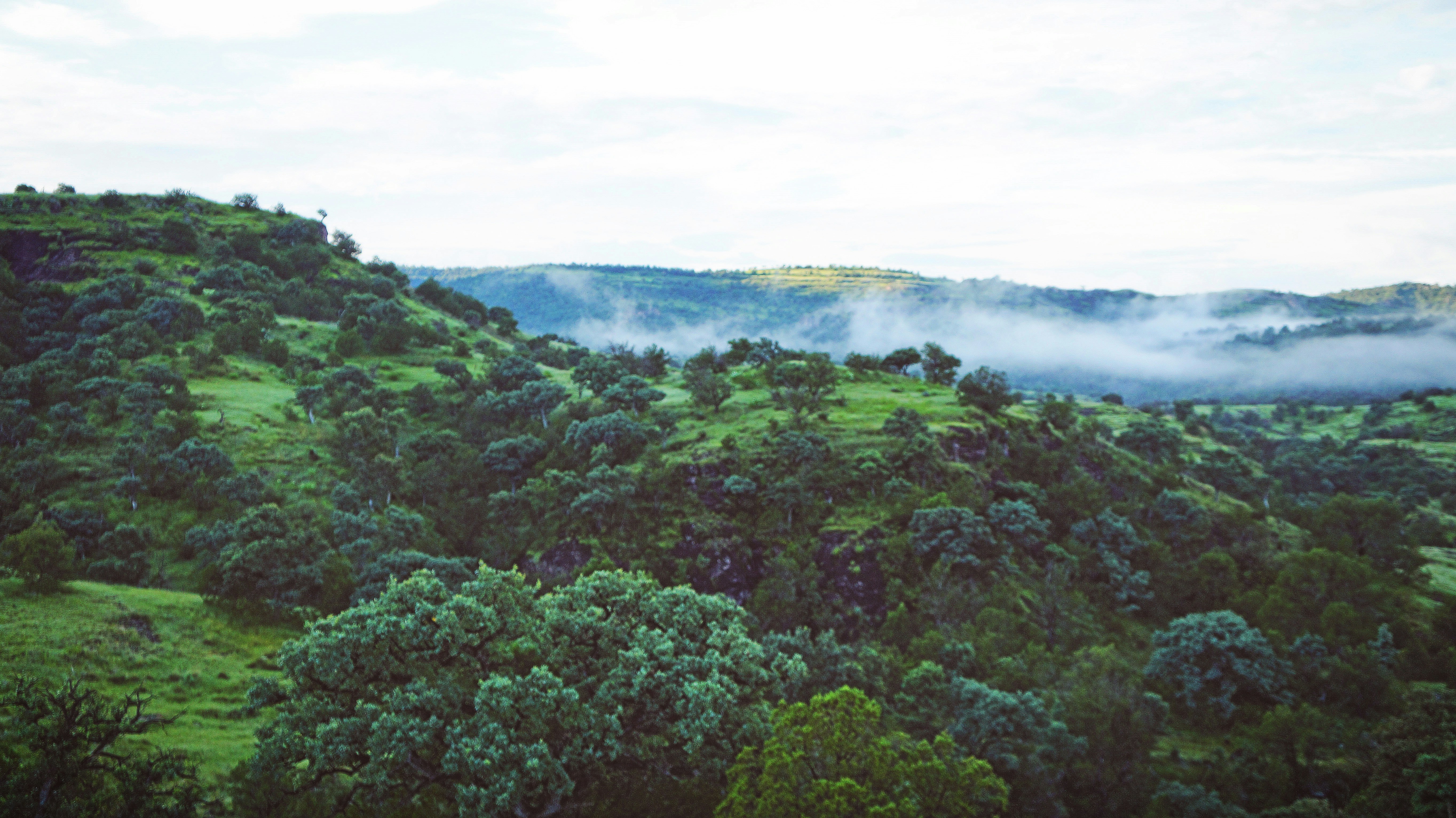 Free Unsplash photo from Priss Enriquez