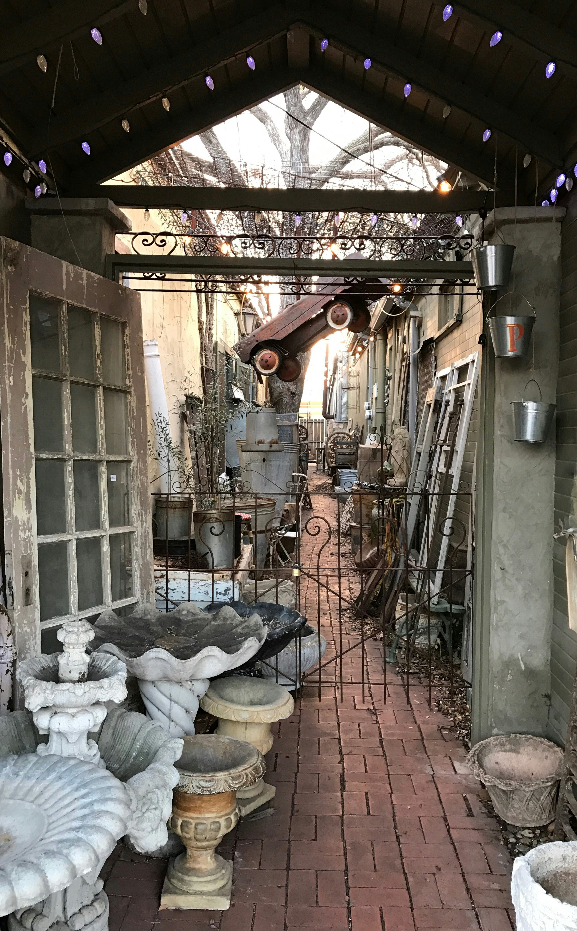 Free Unsplash photo from Thad Puckett