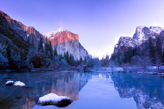 shallow focus photography of brown and white mountain in Yosemite National Park United States