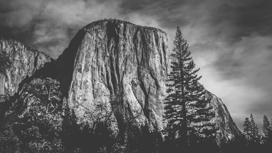 mountain surrounded by trees grayscale photography in El Capitan United States