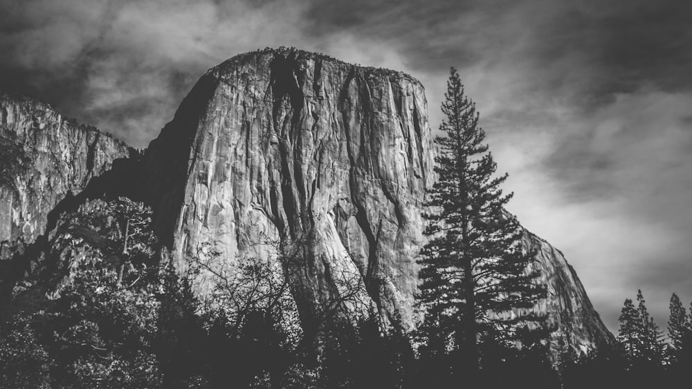 mountain surrounded by trees grayscale photography